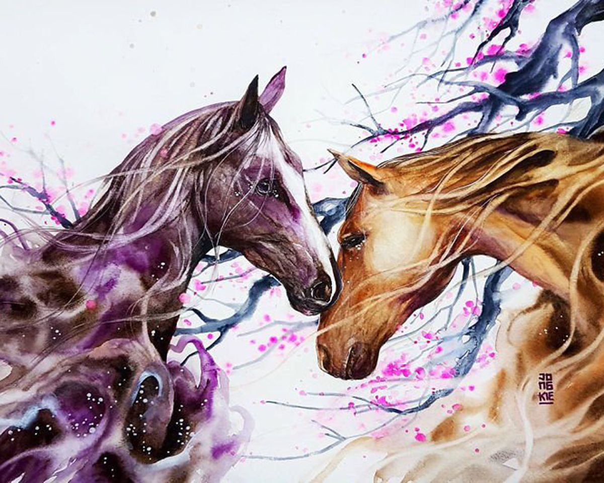 Paint By Numbers - Horses With Long Manes - Framed- 40x50cm - Arterium