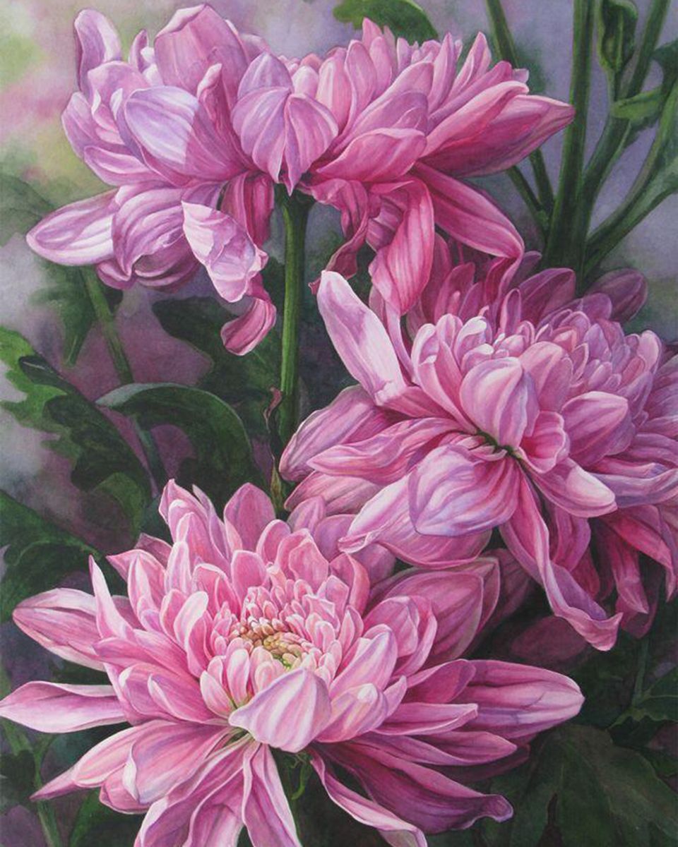 Paint By Numbers - Close Up Of Pink Flower - Framed- 40x50cm - Arterium