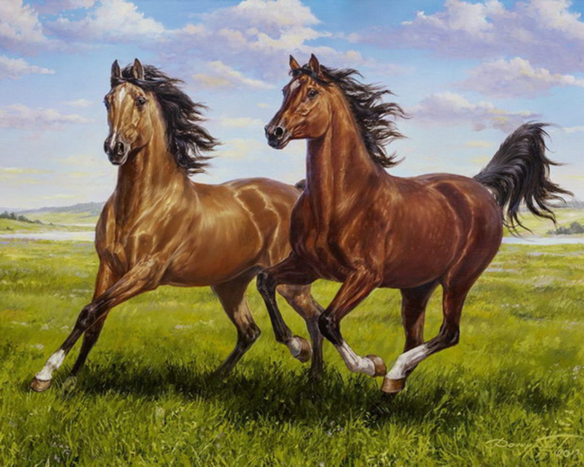 Paint By Numbers - Two Brown Horses Gallop On The Green Field - Framed- 40x50cm - Arterium