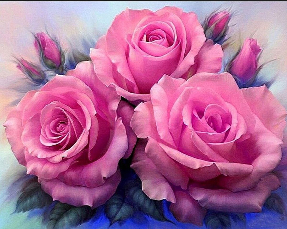 Paint By Numbers - Pink Roses Up Close - Framed- 40x50cm - Arterium