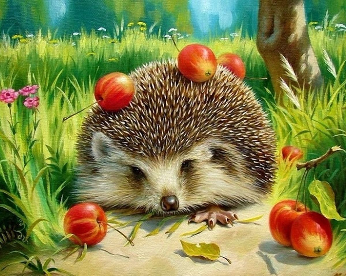 Paint By Numbers - Hedgehog With Apples On His Spikes - Framed- 40x50cm - Arterium