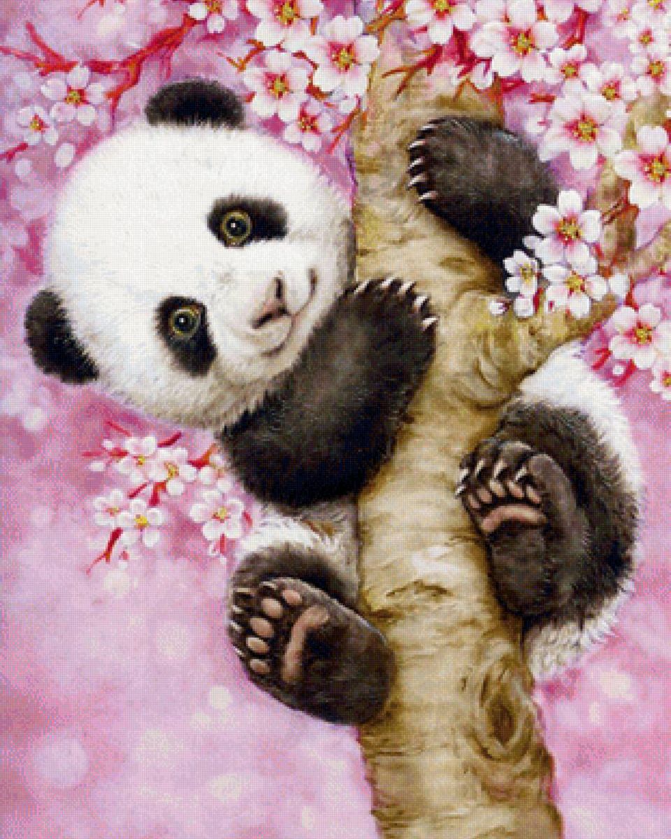 Paint By Numbers - Enchanting Black And White Panda Handing From Blossoming Cherry Tree - Framed- 40x50cm - Arterium