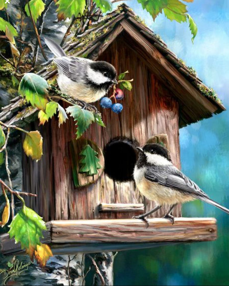 Paint By Numbers - Tranquil Nature Scene: Black-Capped Chickadees On Wooden Birdhouse - Framed- 40x50cm - Arterium