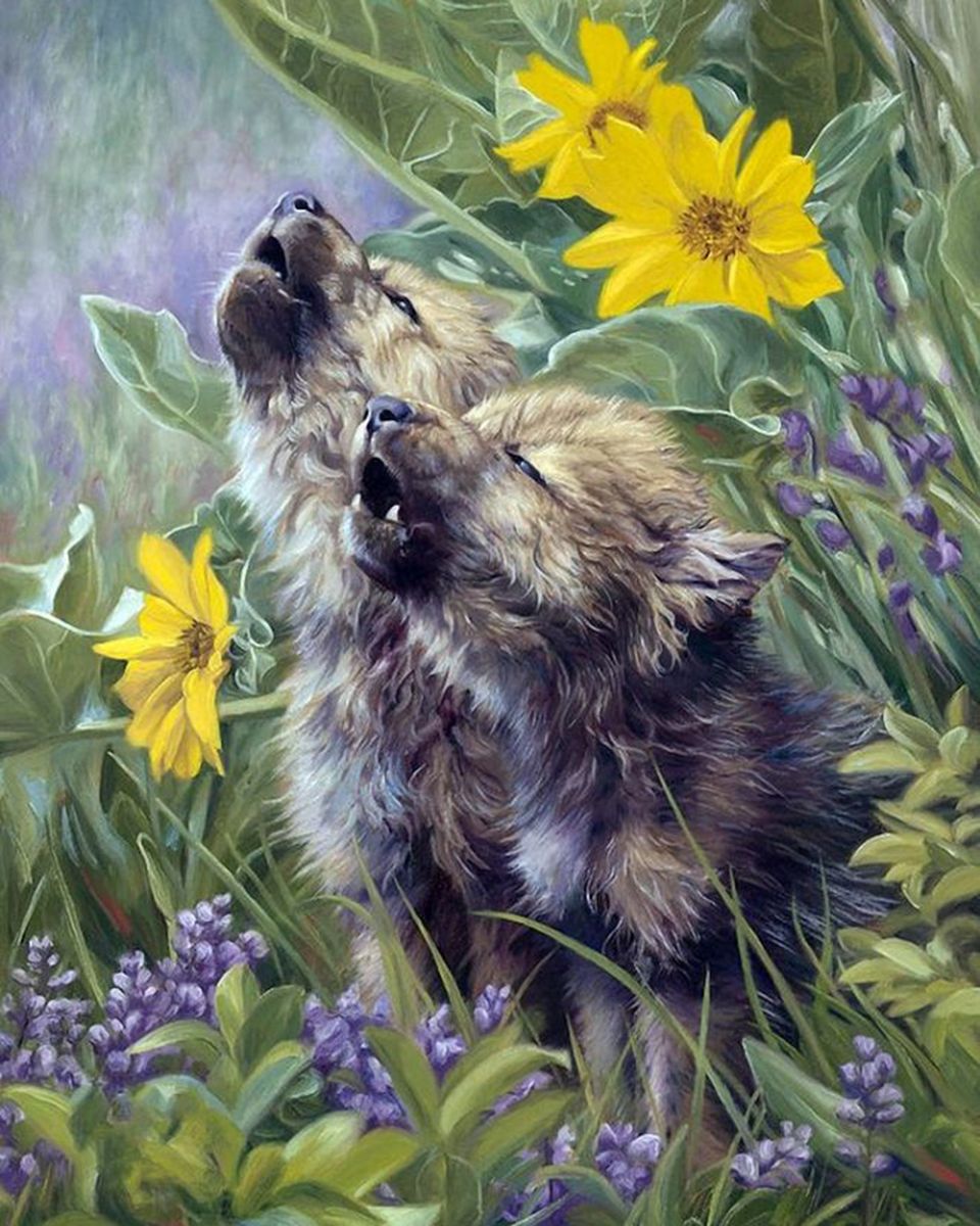 Paint By Numbers - Wolves' Intense Encounter: A Captivating Painting Of Determination And Connection - Framed- 40x50cm - Arterium