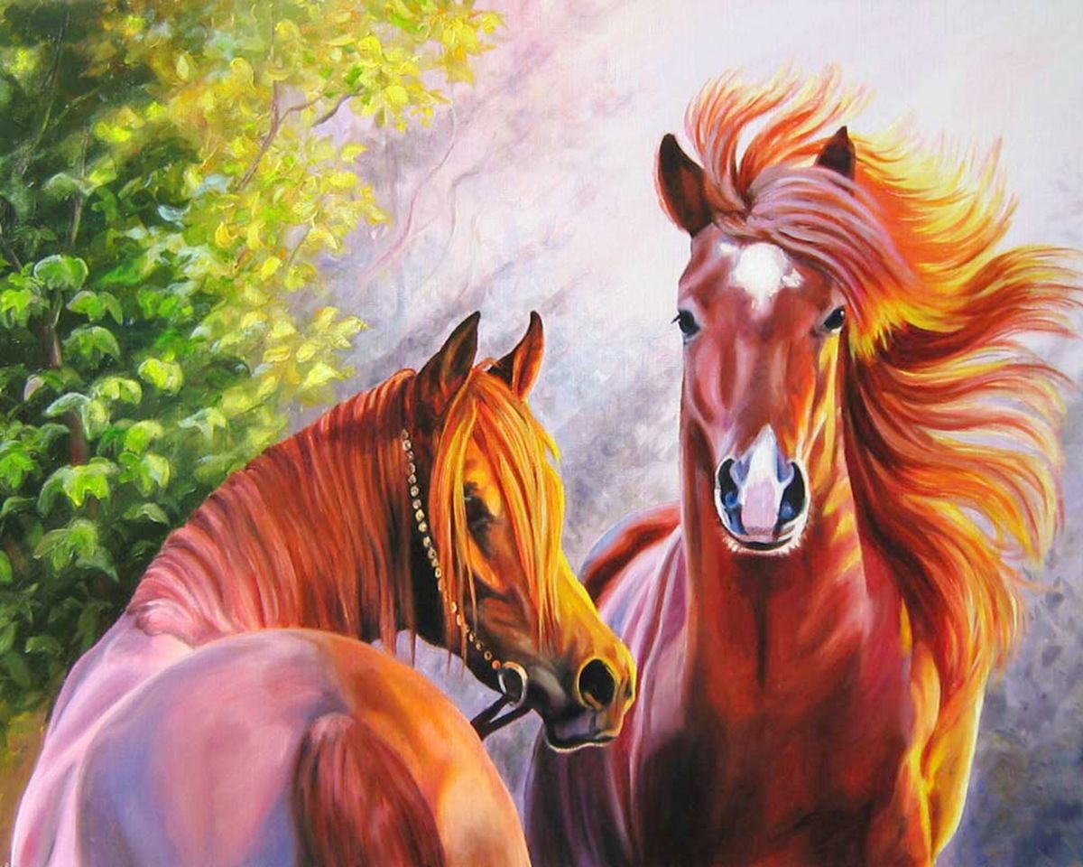 Paint By Numbers - Rustic Horse Artwork: Two Brown Horses On A Path - Framed- 40x50cm - Arterium