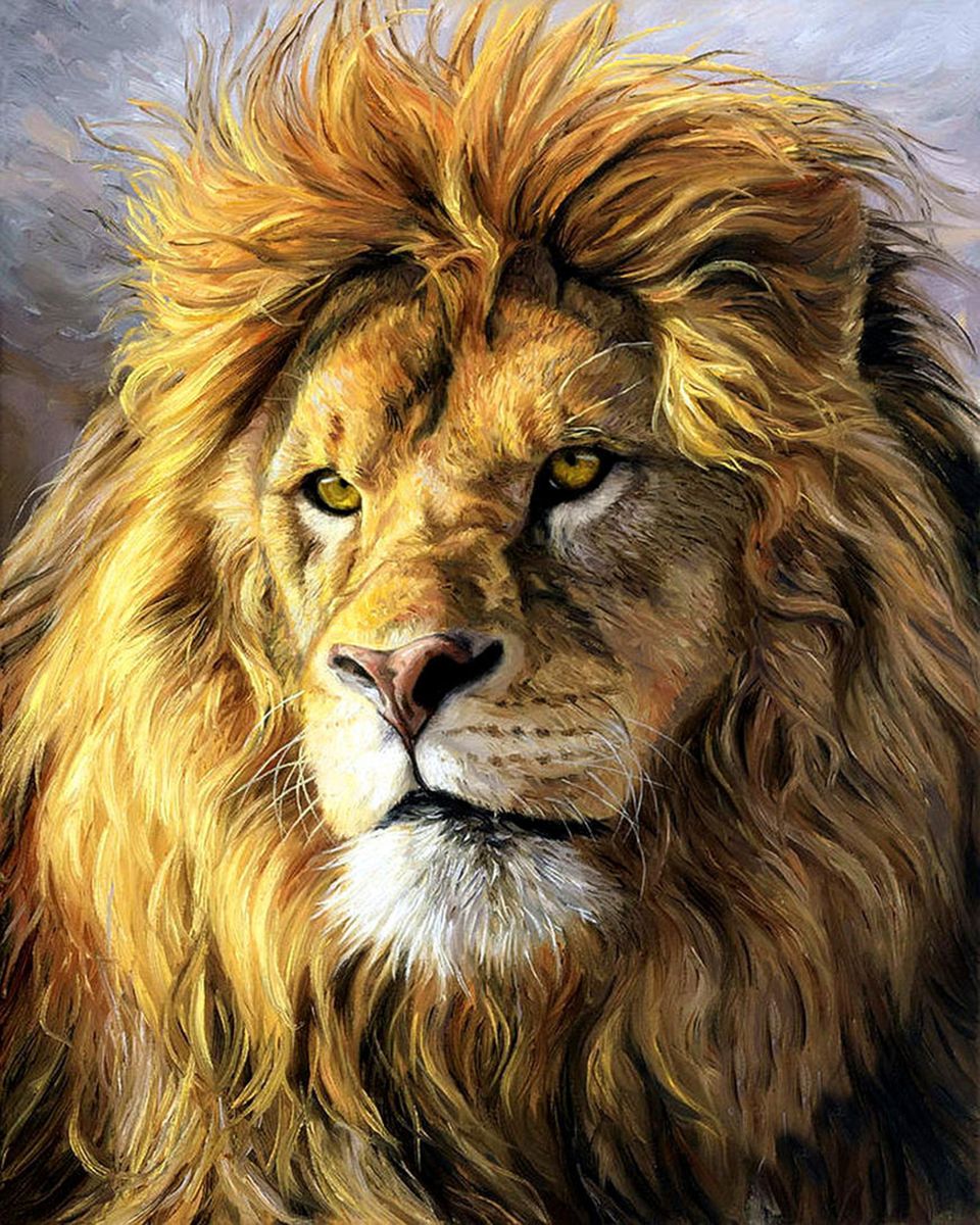 Paint By Numbers - Majestic Male Lion: A Contemplative Portrait - Framed- 40x50cm - Arterium