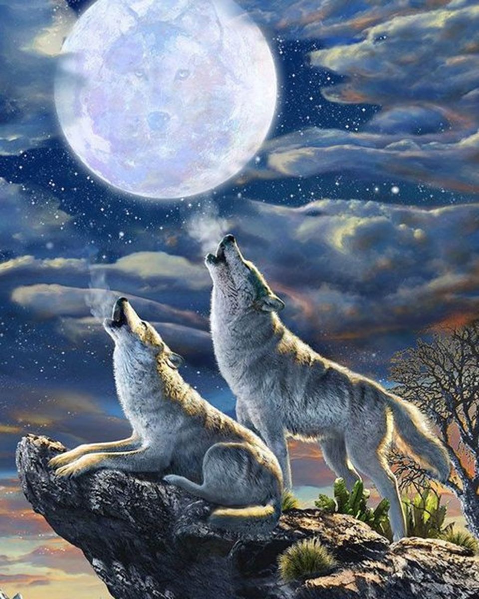 Paint By Numbers - Wolves Howling At Full Moon On Rocky Outcrop - Framed- 40x50cm - Arterium