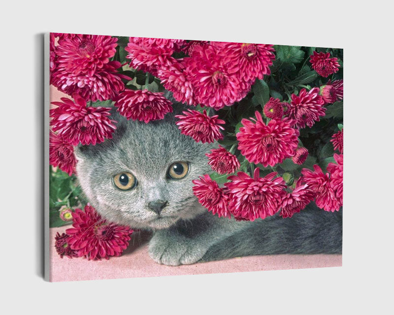Paint By Numbers - Cat With Flowers Around Its Head - Framed- 40x50cm - Arterium