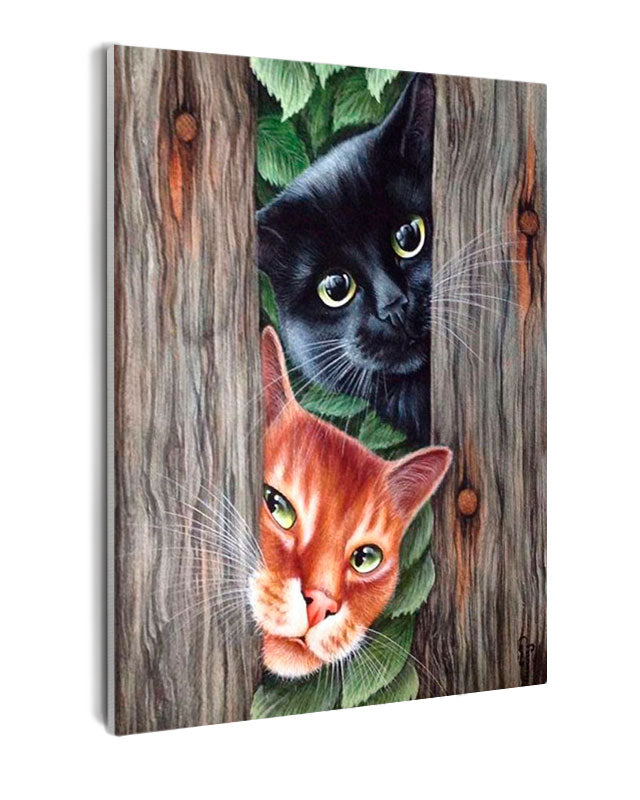 Paint By Numbers - Two Cats Looking Through The Fence - Framed- 40x50cm - Arterium