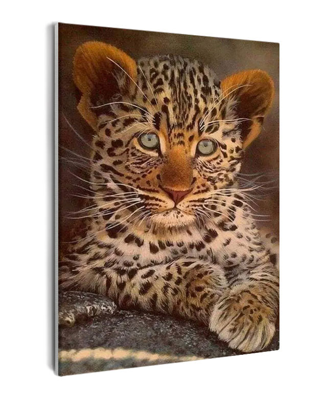 Paint By Numbers - Blue-Eyed Leopard Cub Stuns With Vibrant Spots - Framed- 40x50cm - Arterium