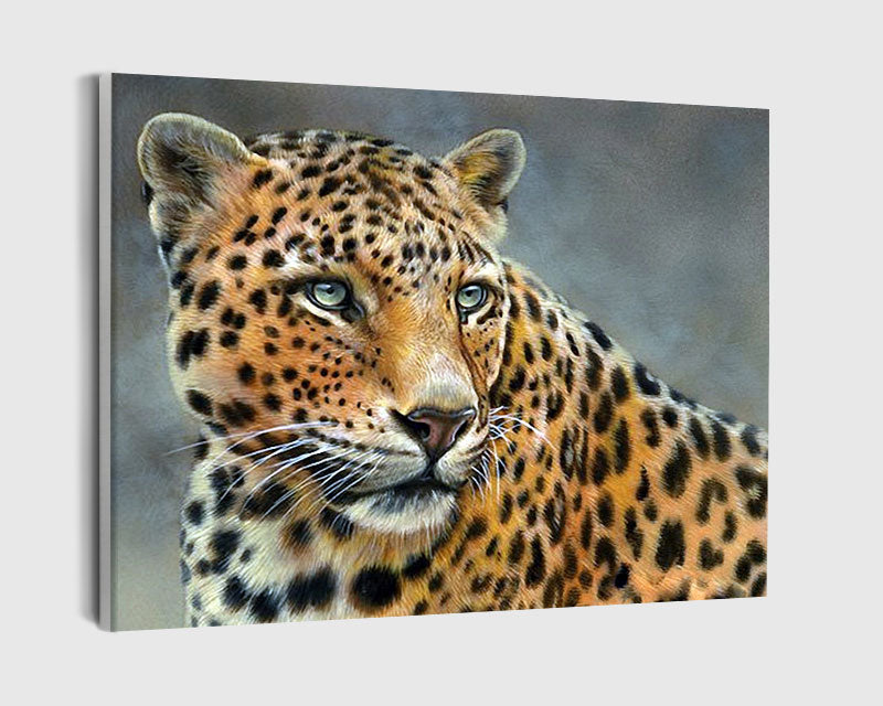 Paint By Numbers - Close Up Of A Leopard - Framed- 40x50cm - Arterium
