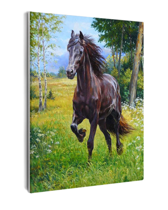 Paint By Numbers - Vigorous Black Horse Galloping Through Lush Meadow - Framed- 40x50cm - Arterium