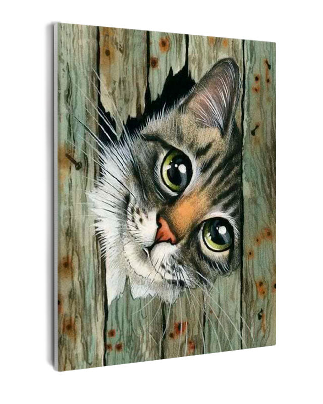 Paint By Numbers - One Cat Looking Through The Fence - Framed- 40x50cm - Arterium