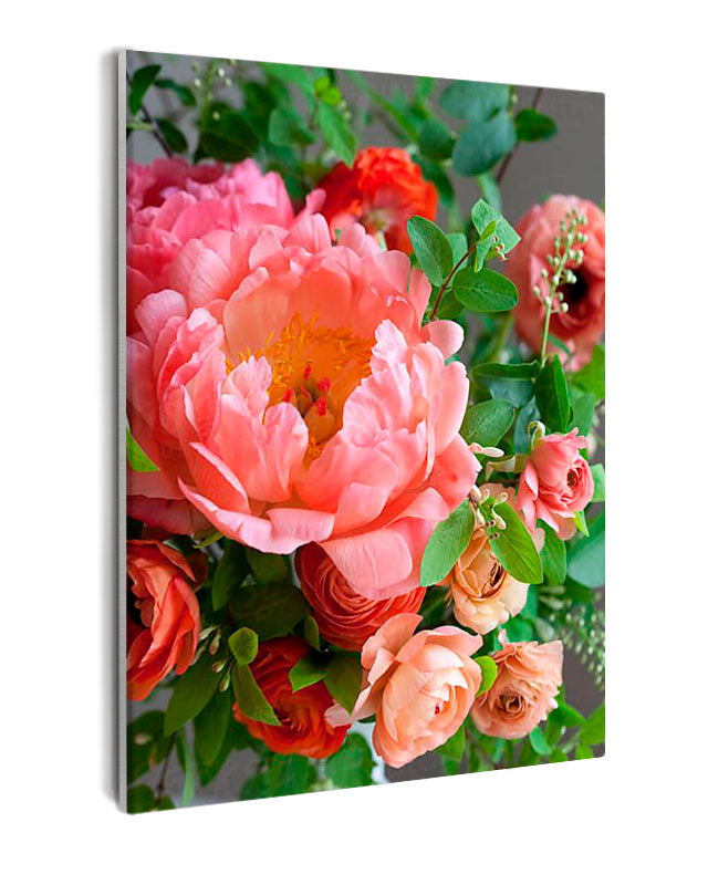 Paint By Numbers - Pink Peony Flower Close Up - Framed- 40x50cm - Arterium