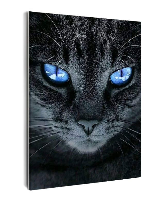 Paint By Numbers - Captivating Blue-Eyed Cat: A Serene And Mysterious Close-Up - Framed- 40x50cm - Arterium