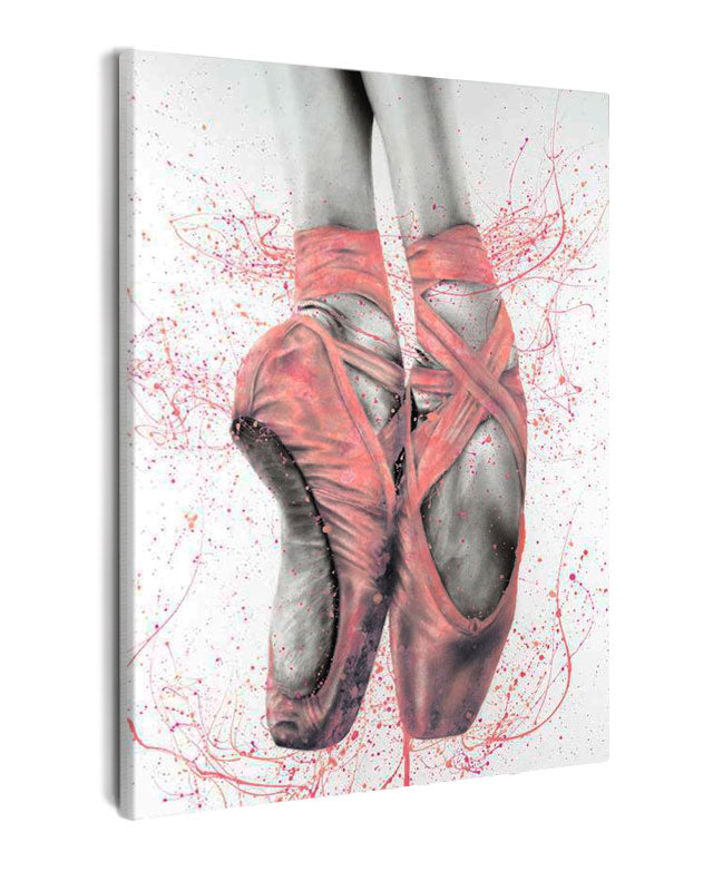 Paint By Numbers - Feet On Tip Toes In Ballet Shoes - Framed- 40x50cm - Arterium