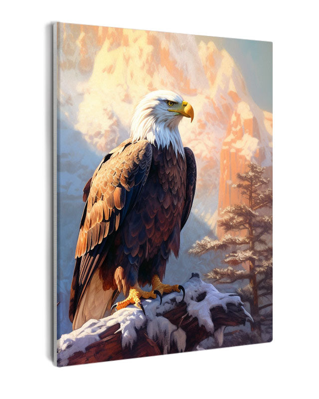 Paint By Numbers - Bald Eagle In Snow-Covered Serenity Amidst Mountain Range - Framed- 40x50cm - Arterium