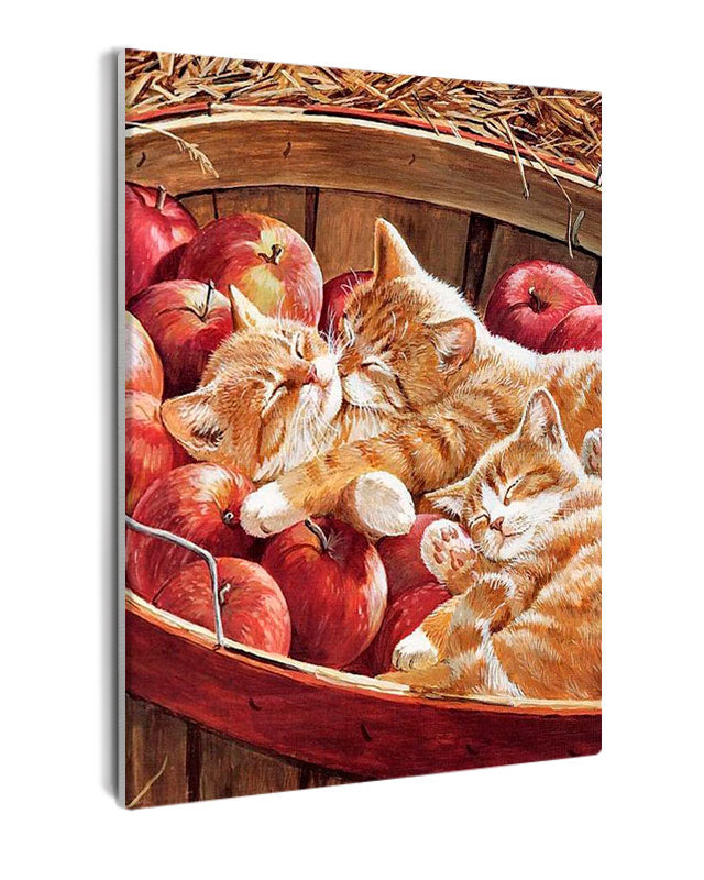Paint By Numbers - Cozy Cat Trio Resting Among Abundant Apples On Wooden Surface - Framed- 40x50cm - Arterium