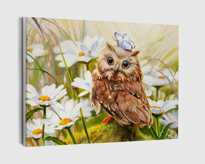 Paint By Numbers - Brown Owl With A Blue Butterfly On Its Head - Framed- 40x50cm - Arterium