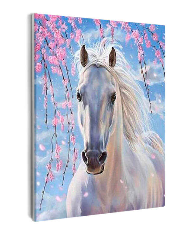 Paint By Numbers - White Horse & Blue Sky Background - Framed- 40x50cm - Arterium