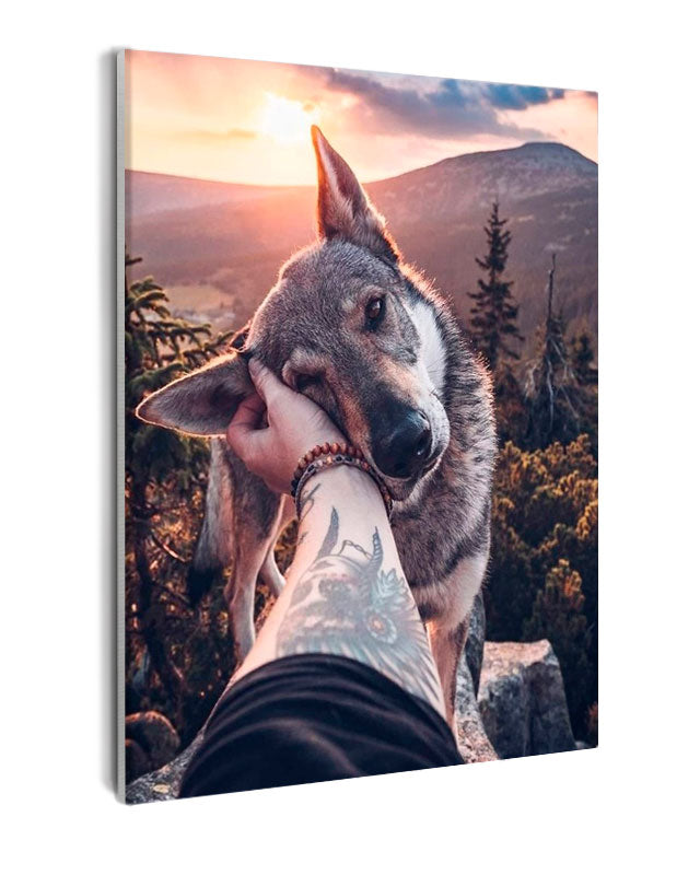 Paint By Numbers - Person Caressing A Dog - Framed- 40x50cm - Arterium