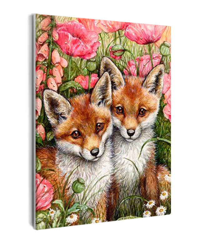 Paint By Numbers - Two Foxes In A Field - Framed- 40x50cm - Arterium
