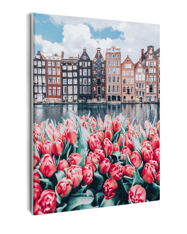 Paint By Numbers - Captivating Amsterdam: vibrant tulips, colorful houses, and serene canals - Framed- 40x50cm - Arterium