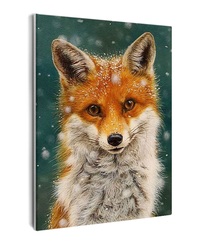 Paint By Numbers - Intense Gaze: Captivating Red Fox Amidst Winter'S Chill - Framed- 40x50cm - Arterium