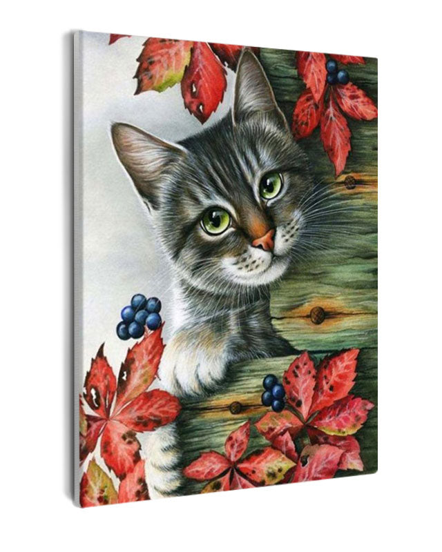 Paint By Numbers - Cat Looking At The Camera - Framed- 40x50cm - Arterium