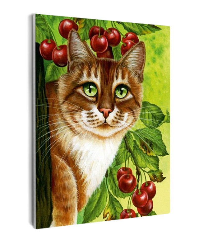 Paint By Numbers - Cat Looking At The Camera 2 - Framed- 40x50cm - Arterium