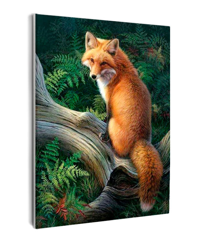 Paint By Numbers - Red Fox Perched On Curved Branch - Framed- 40x50cm - Arterium