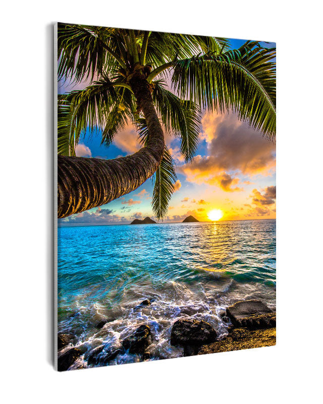 Paint By Numbers - Tranquil Sunset Beach Scene With Palm Tree And Ocean - Framed- 40x50cm - Arterium