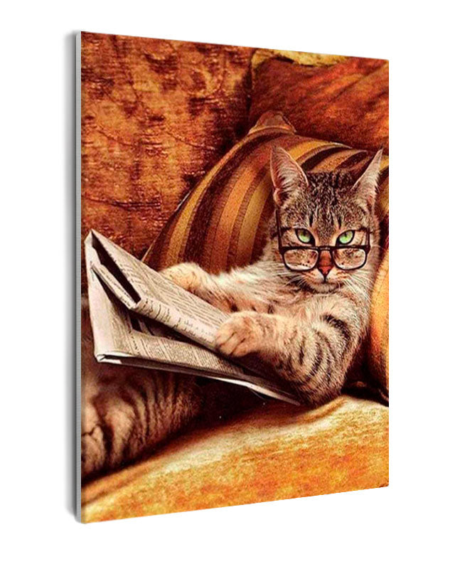 Paint By Numbers - Cozy Cat: A Relaxed Reading Moment On A Golden Yellow Couch - Framed- 40x50cm - Arterium