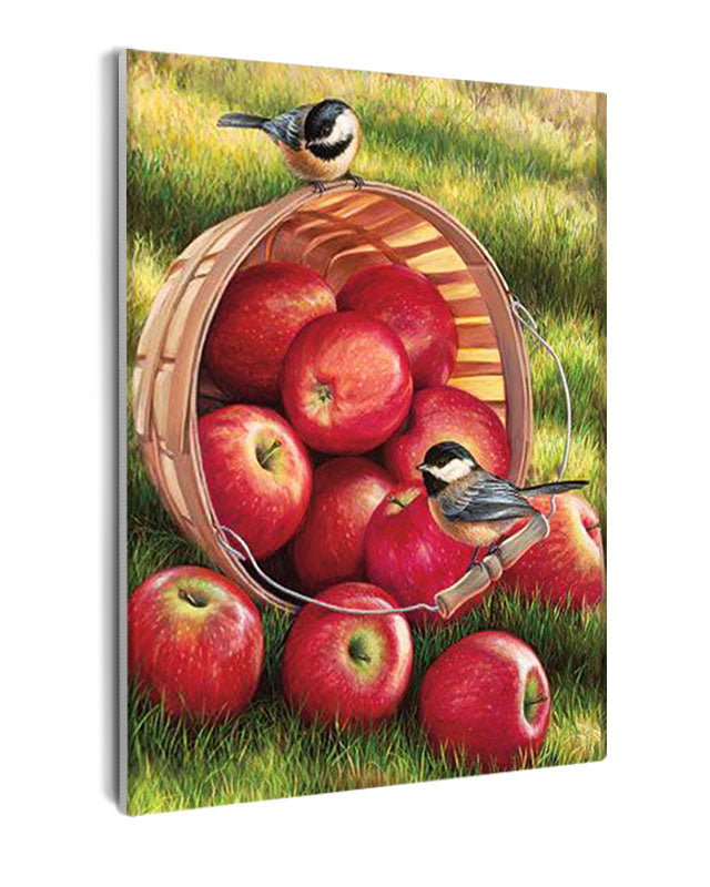 Paint By Numbers - Basket Of Apples With Birds On It - Framed- 40x50cm - Arterium
