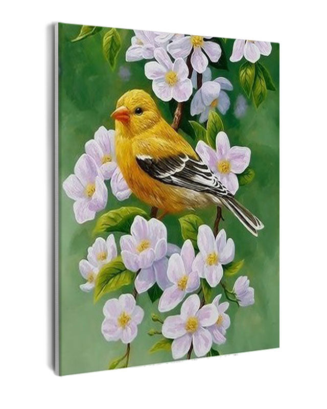 Paint By Numbers - Bird On A Branch Of Flowers - Framed- 40x50cm - Arterium