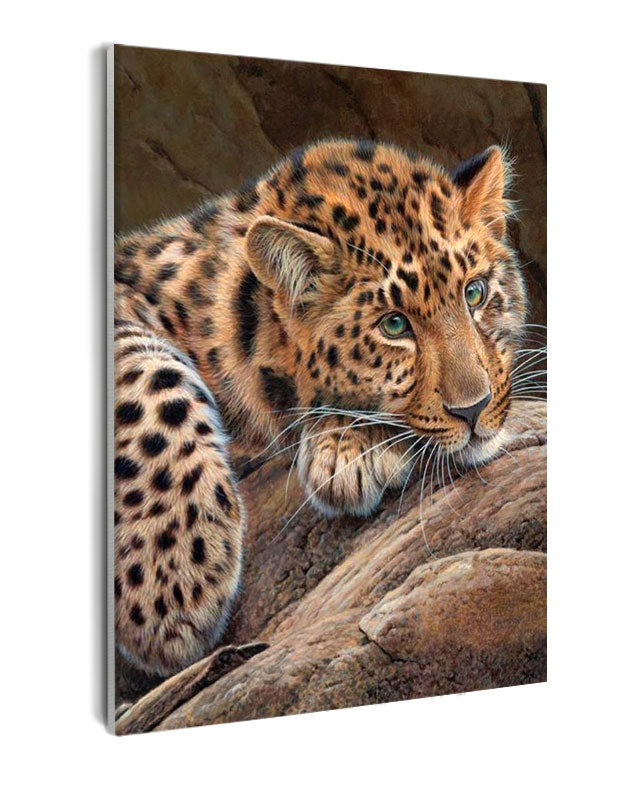 Paint By Numbers - Leopard Lying On A Log - Framed- 40x50cm - Arterium