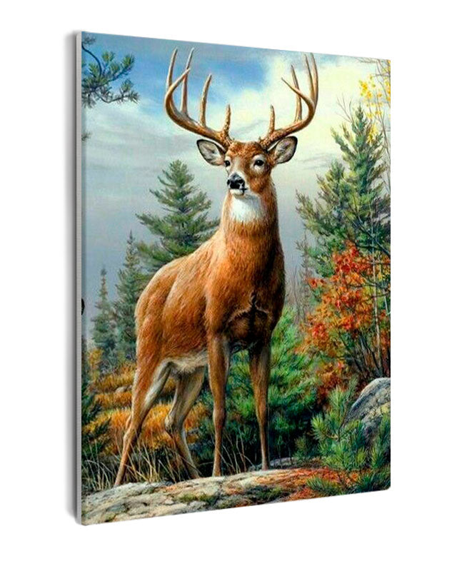 Paint By Numbers - Autumn Forest: Tan Deer Amidst Vibrant Foliage - Framed- 40x50cm - Arterium