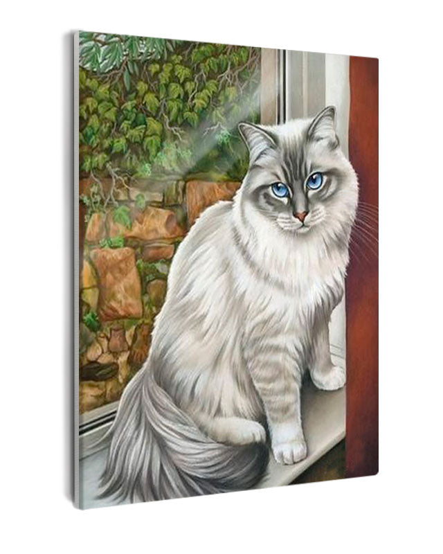 Paint By Numbers - Cozy Cat On Windowsill With Nostalgic Backdrop - Framed- 40x50cm - Arterium