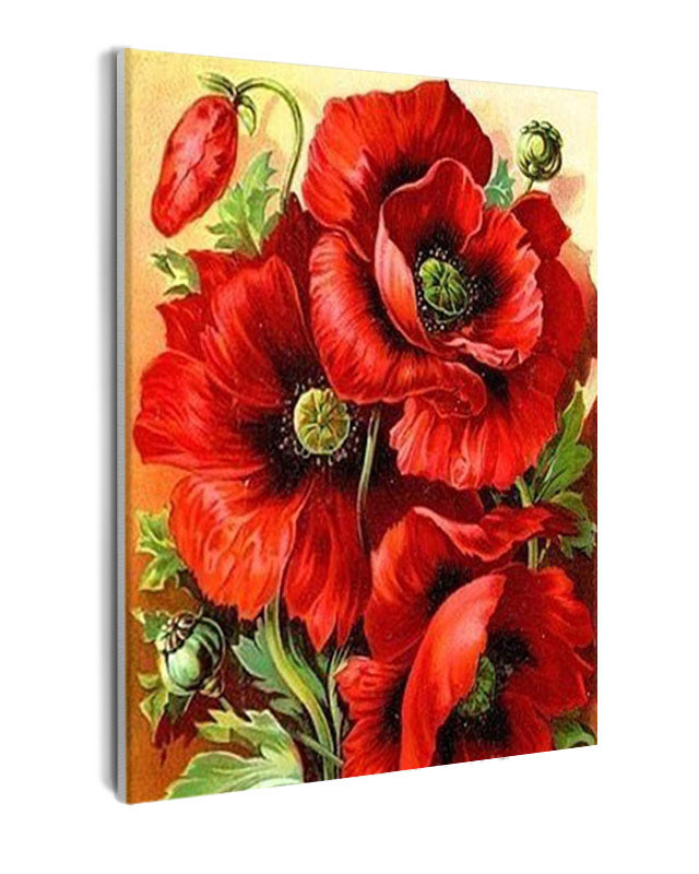 Paint By Numbers - Close Up Of Poppies - Framed- 40x50cm - Arterium