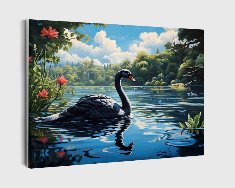 Paint By Numbers - Black Swan On A Lake - Framed- 40x50cm - Arterium