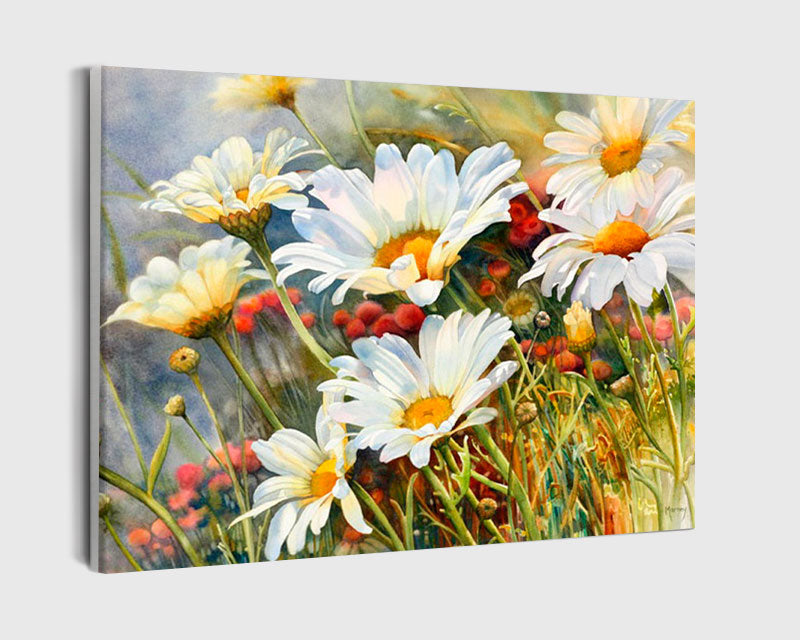 Paint By Numbers - Camomiles In The Field Up Close - Framed- 40x50cm - Arterium