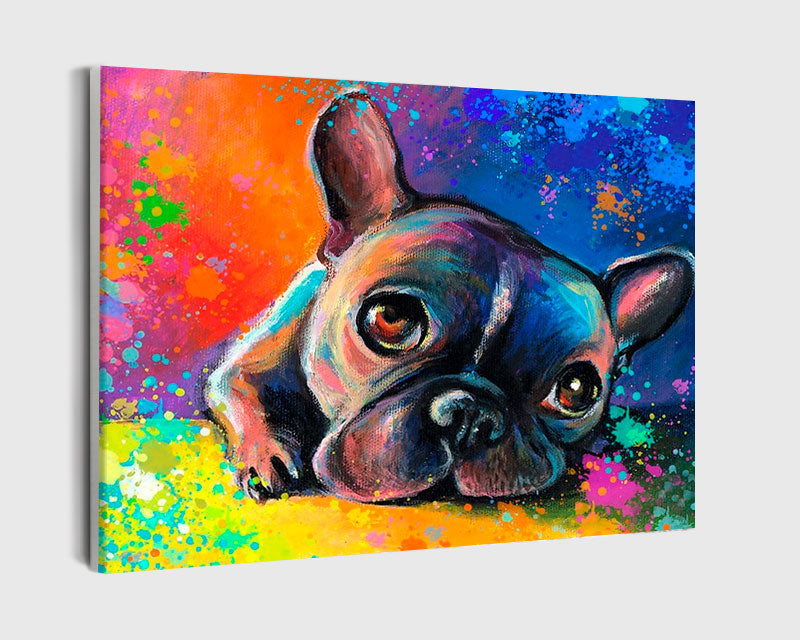 Paint By Numbers - Vibrant Depiction Of A Lying Black French Bulldog: Meticulous Color And Light Infusion - Framed- 40x50cm - Arterium