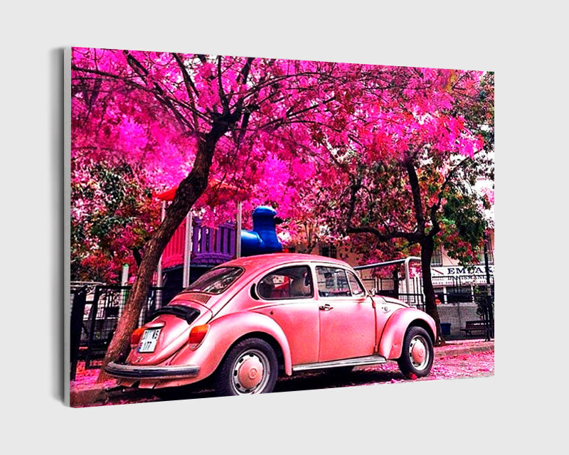 Paint By Numbers - Pink Car And Blossoming Tree: A Vibrant Visual Contrast - Framed- 40x50cm - Arterium