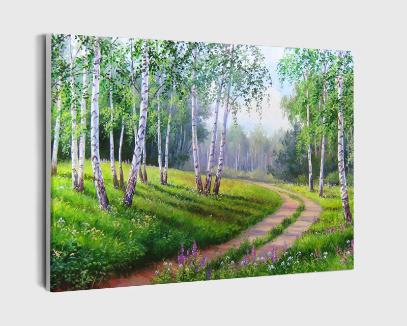 Paint By Numbers - Forest Road With Birches - Framed- 40x50cm - Arterium