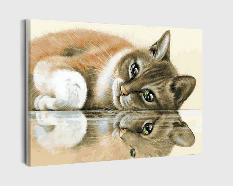 Paint By Numbers - Calm And Curious Cat Engages With Reflection On Reflective Surface - Framed- 40x50cm - Arterium