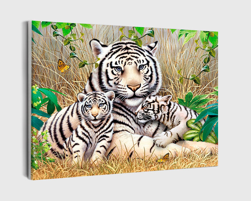 Paint By Numbers - White Tiger With Little Baby Tigers - Framed- 40x50cm - Arterium