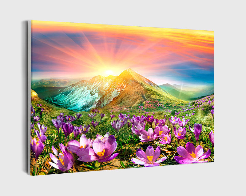 Paint By Numbers - Beautiful Sunrise Over The Mountain And Purple Flowers - Framed- 40x50cm - Arterium