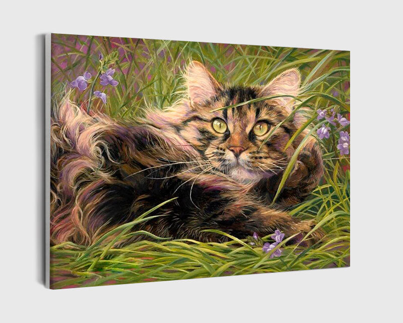 Paint By Numbers - Cat Lying In The Grass - Framed- 40x50cm - Arterium