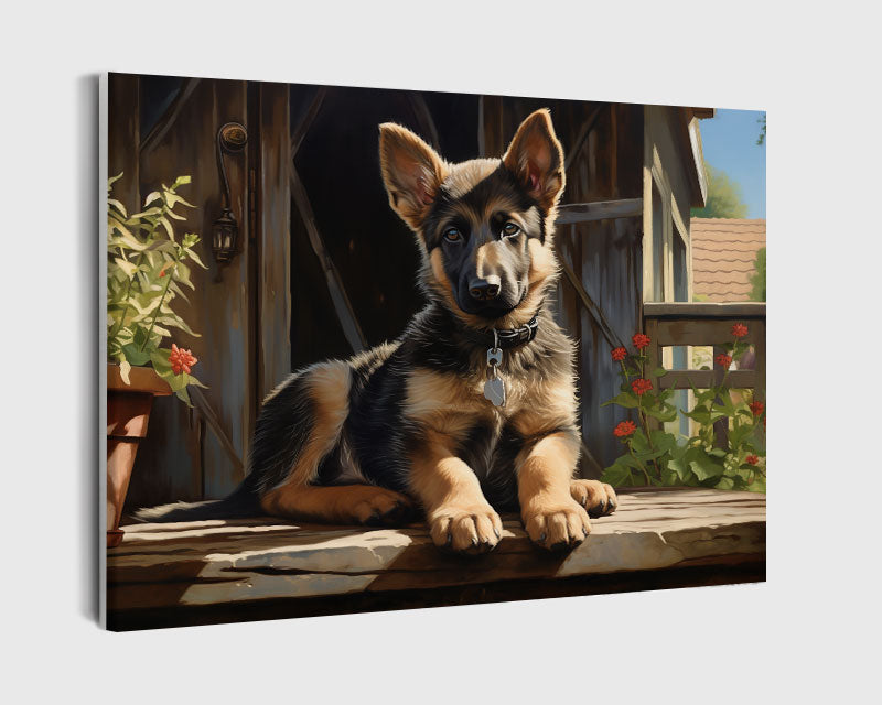 Paint By Numbers - Serene German Shepherd Puppy On Sunny Porch: Idyllic Charm - Framed- 40x50cm - Arterium