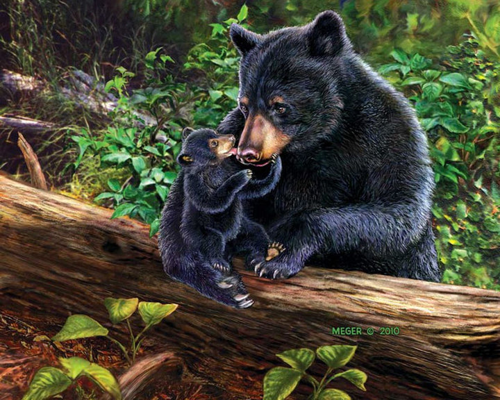 Paint By Numbers - Black Bear And Cub On A Log - Framed- 40x50cm - Arterium 